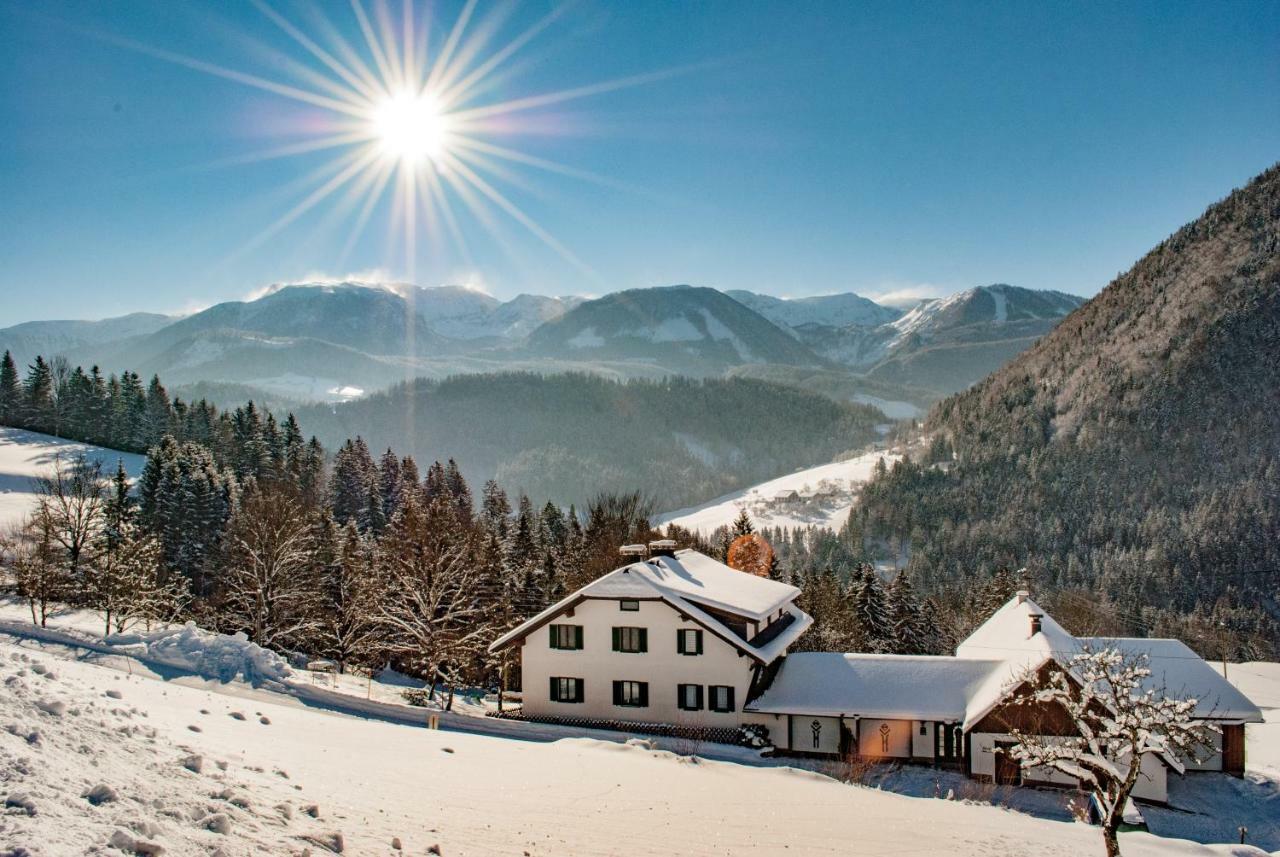 Bruderhoferhutte Daire Hinterstoder Dış mekan fotoğraf